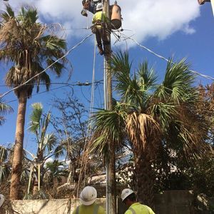 Meet your Posher, Owen